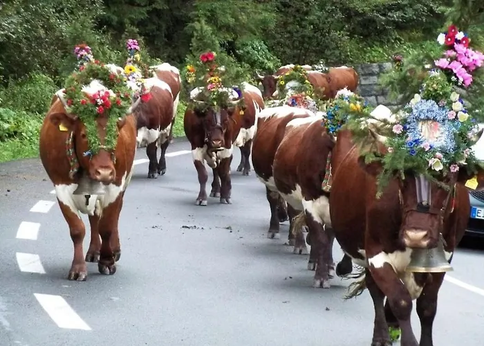 With 1 Bedroom クリムル