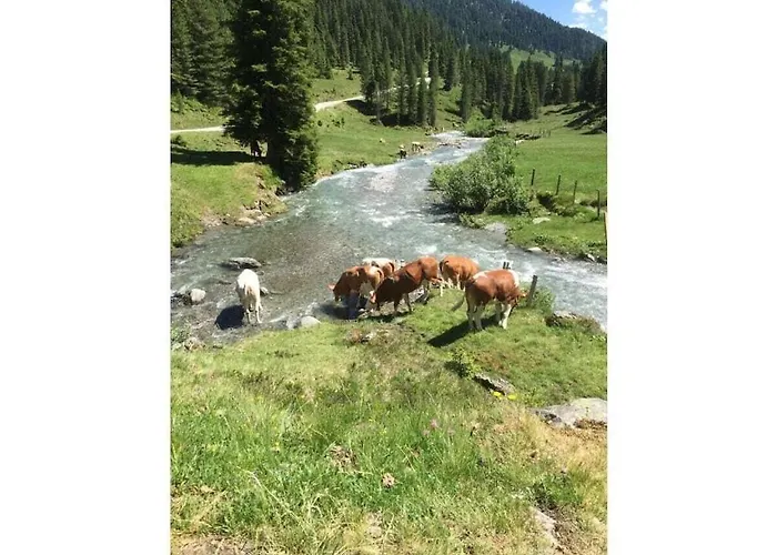 With 1 Bedroom 別荘 *