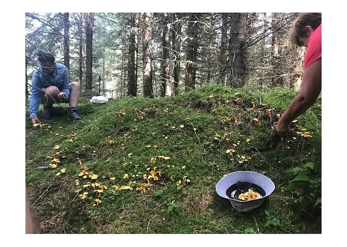 With 1 Bedroom クリムル